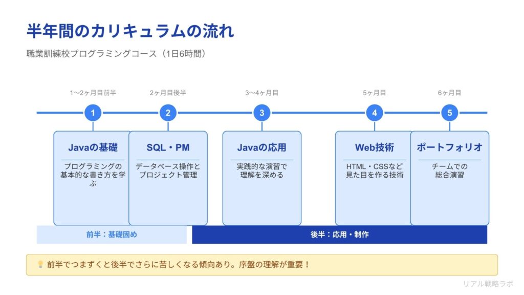 8_図解：タイムライン  半年間のカリキュラムの流れ（期間と学習内容の対応）